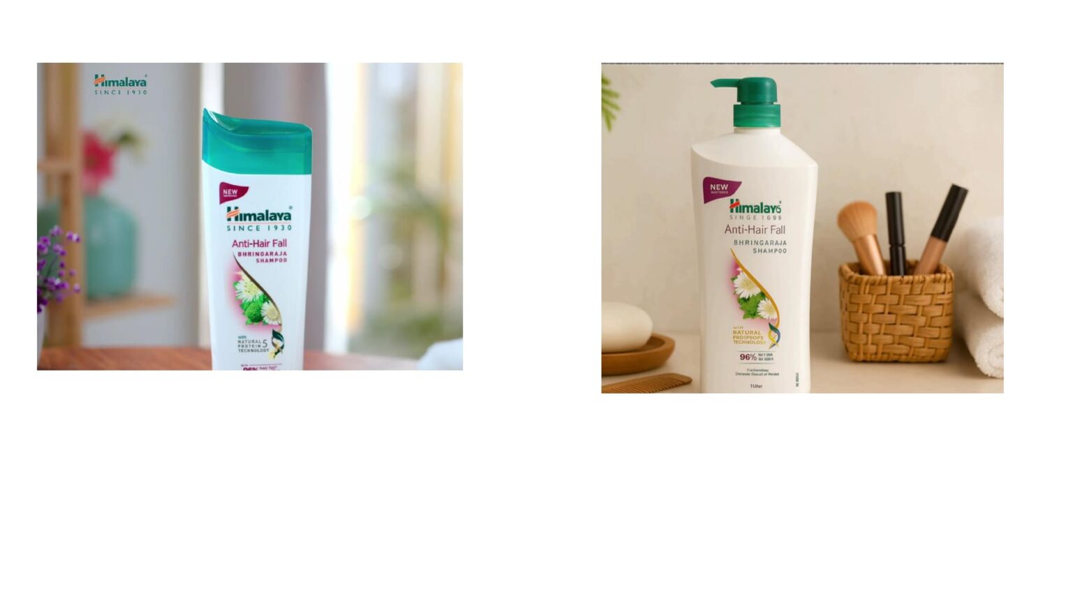 bringa raja_page-0004