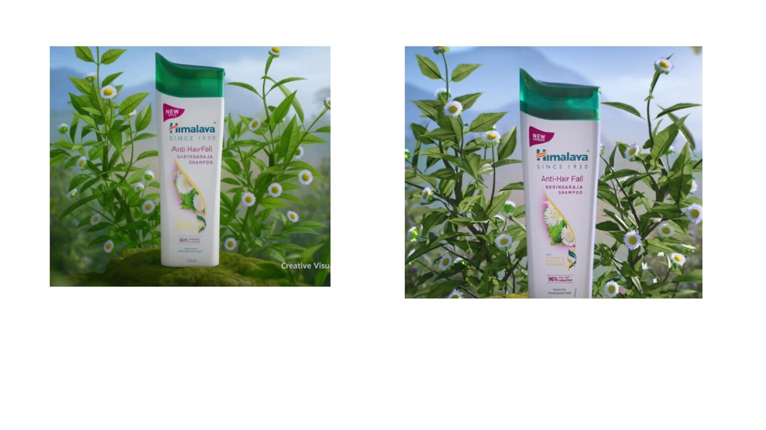 bringa raja_page-0006