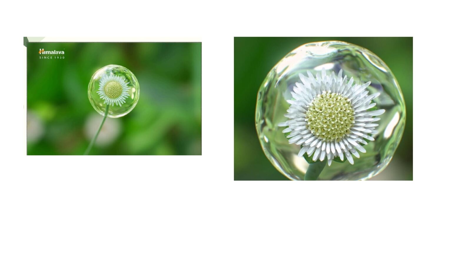 bringa raja_page-0007