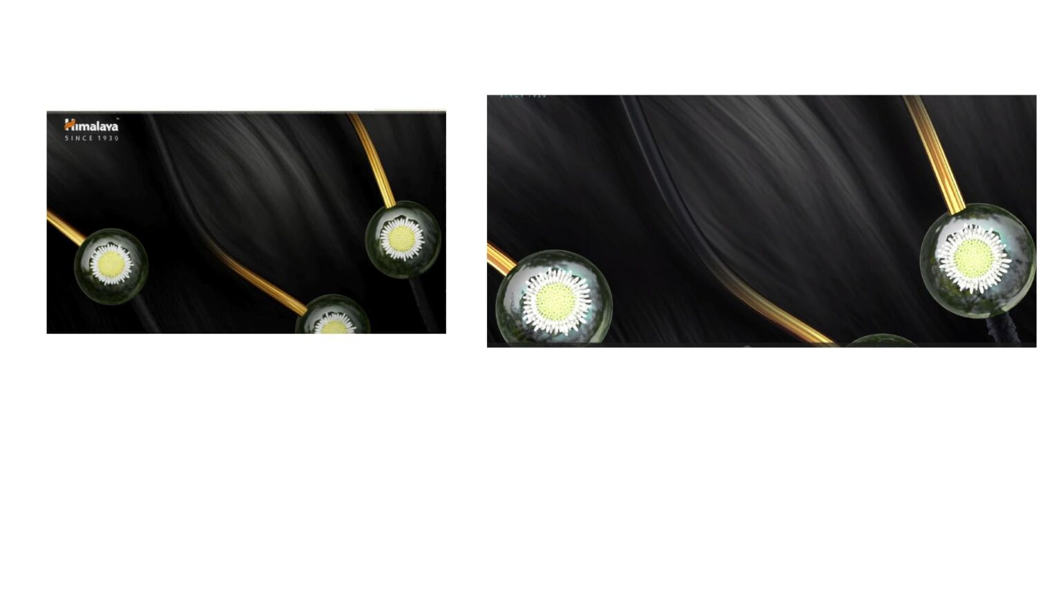 bringa raja_page-0008