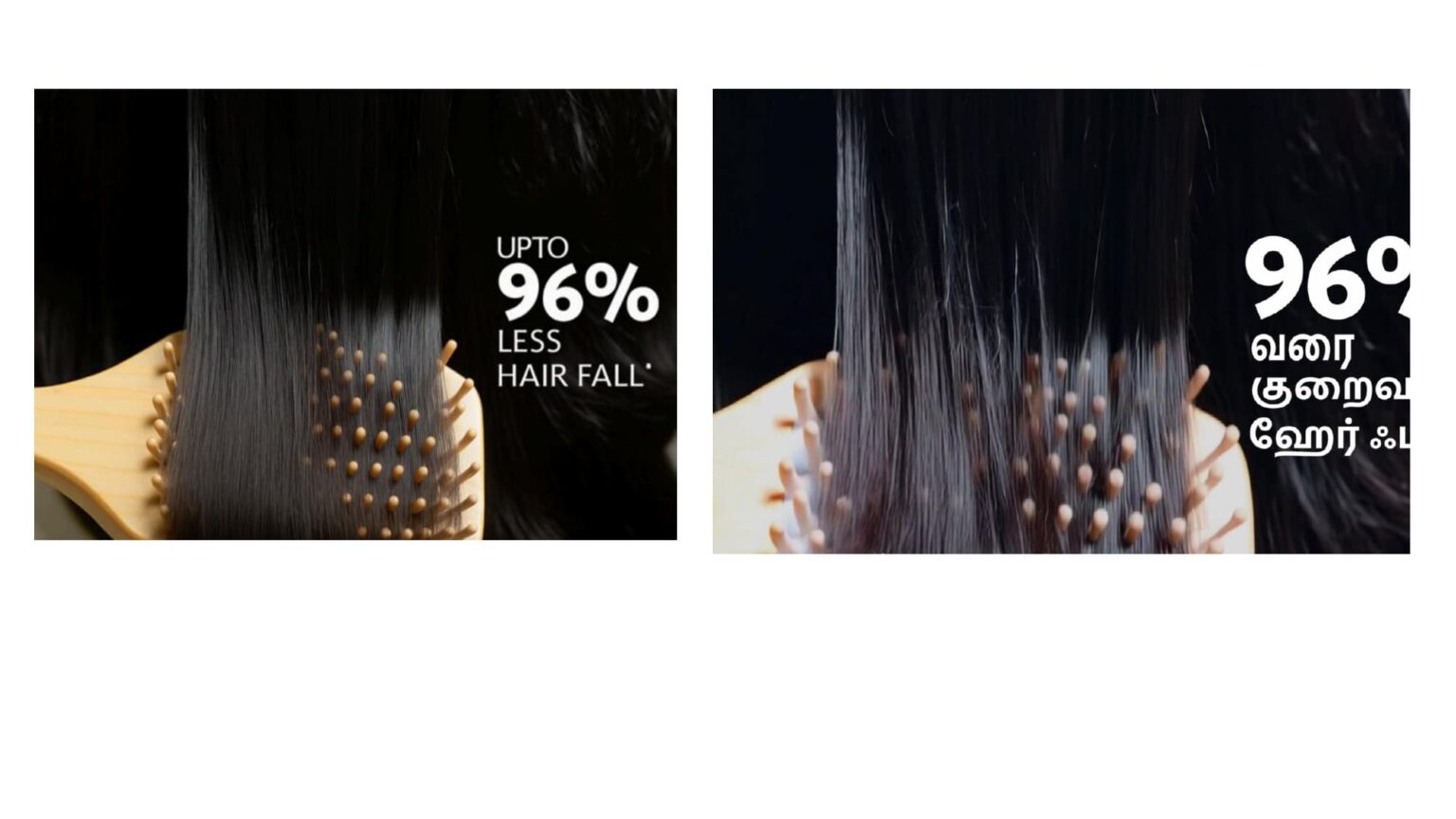 bringa raja_page-0009